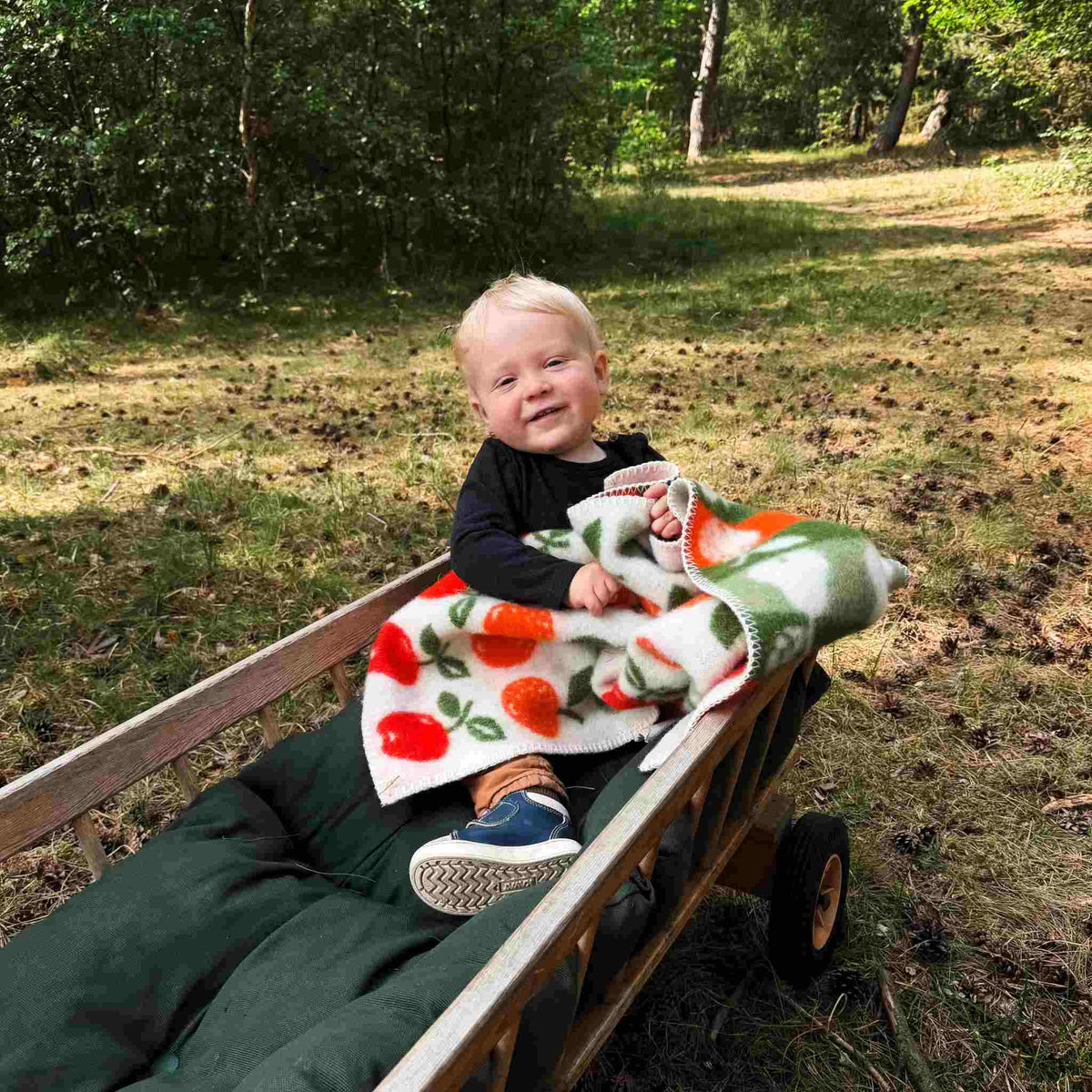 Klippan Früchte Babywolldecke aus Lammwolle 65 × 90 cm mehrfarbig