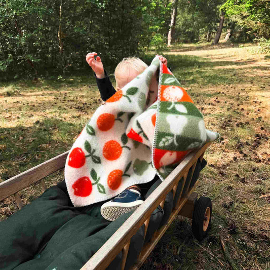Klippan Früchte Babywolldecke aus Lammwolle 65 × 90 cm mehrfarbig
