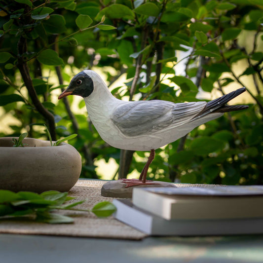 Wildlife Garden DecoBird Lachmöwe handgeschnitzt