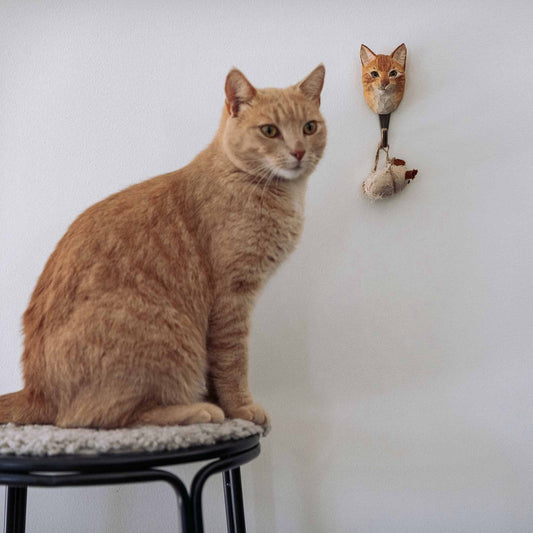 Wildlife Garden Decohook Wandhaken Hauskatze (handgeschnitzt)