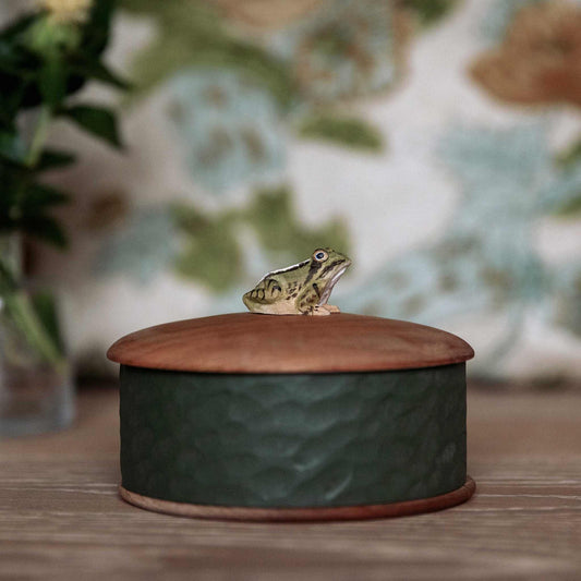 Wildlife Garden Holzdose Frosch Höhe 8,5 cm Ø 13 cm handgeschnitzt