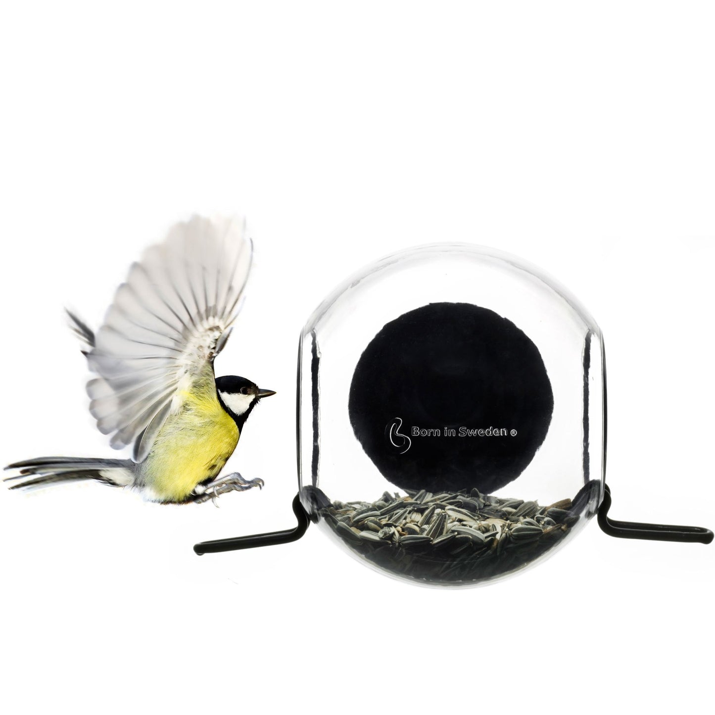 Born in Sweden Window Bird Feeder Ball, length 18 cm, Ø 10 cm, clear, black