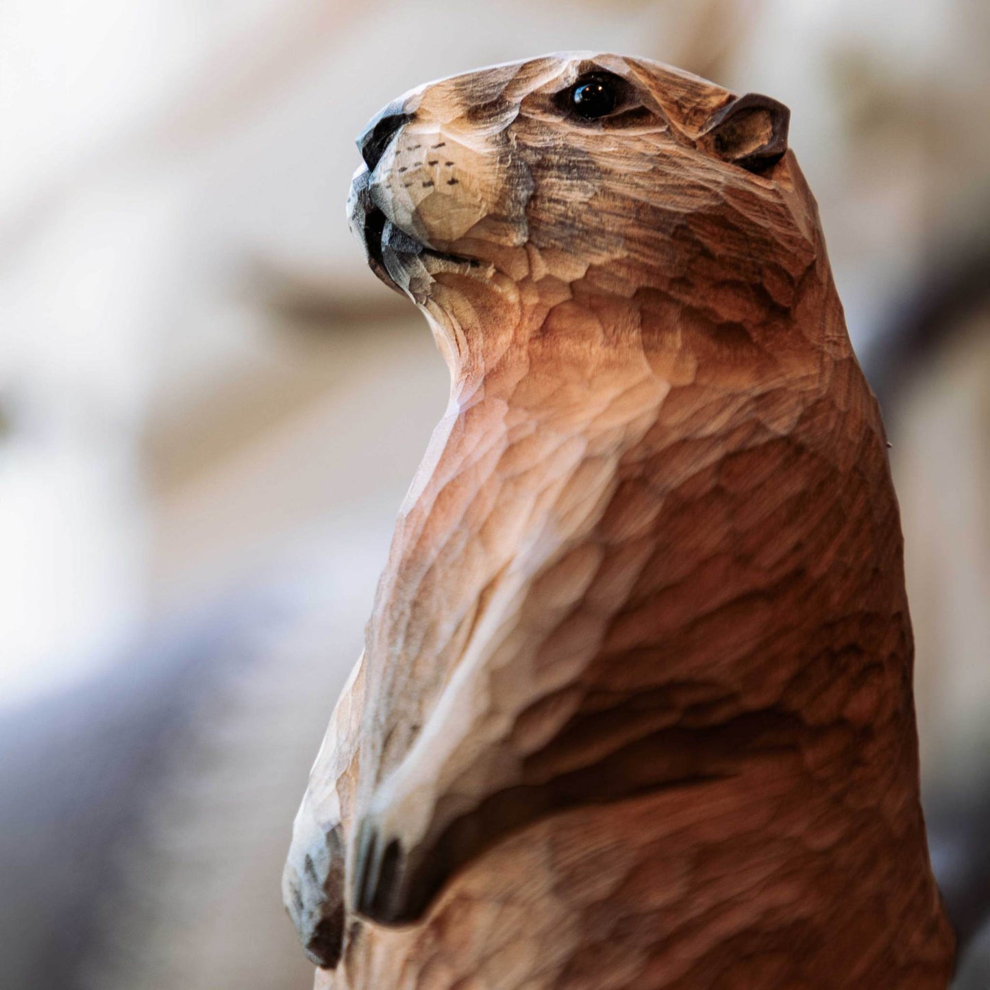 Wildlife Garden DecoAnimal Red Marmot hand-carved