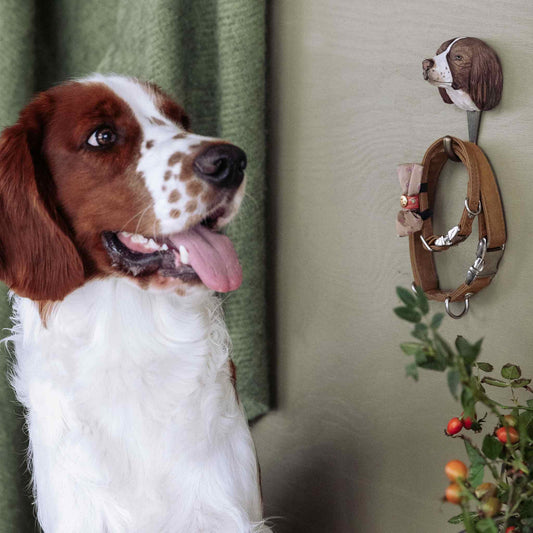 Wildlife Garden Decohook Wall Hook Springer Spaniel (Hand-Carved)