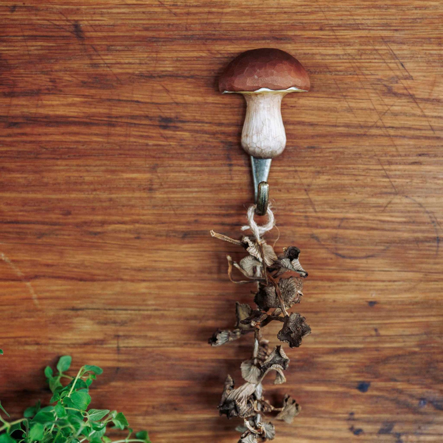 Wildlife Garden DecoHook Wall Hook Boletus (hand-carved)