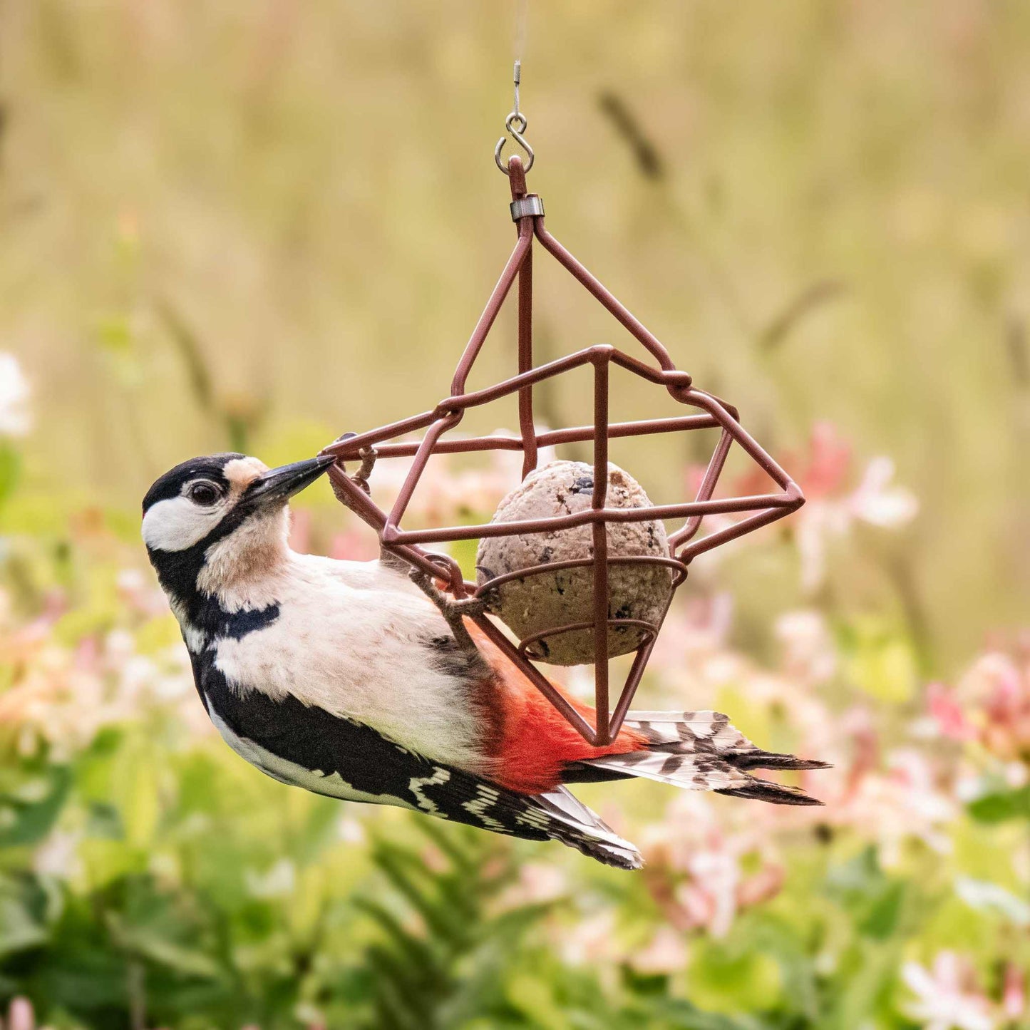 Wildlife Garden Tit Dumpling Holder / Bird Feeder Star Ø 14.7 cm