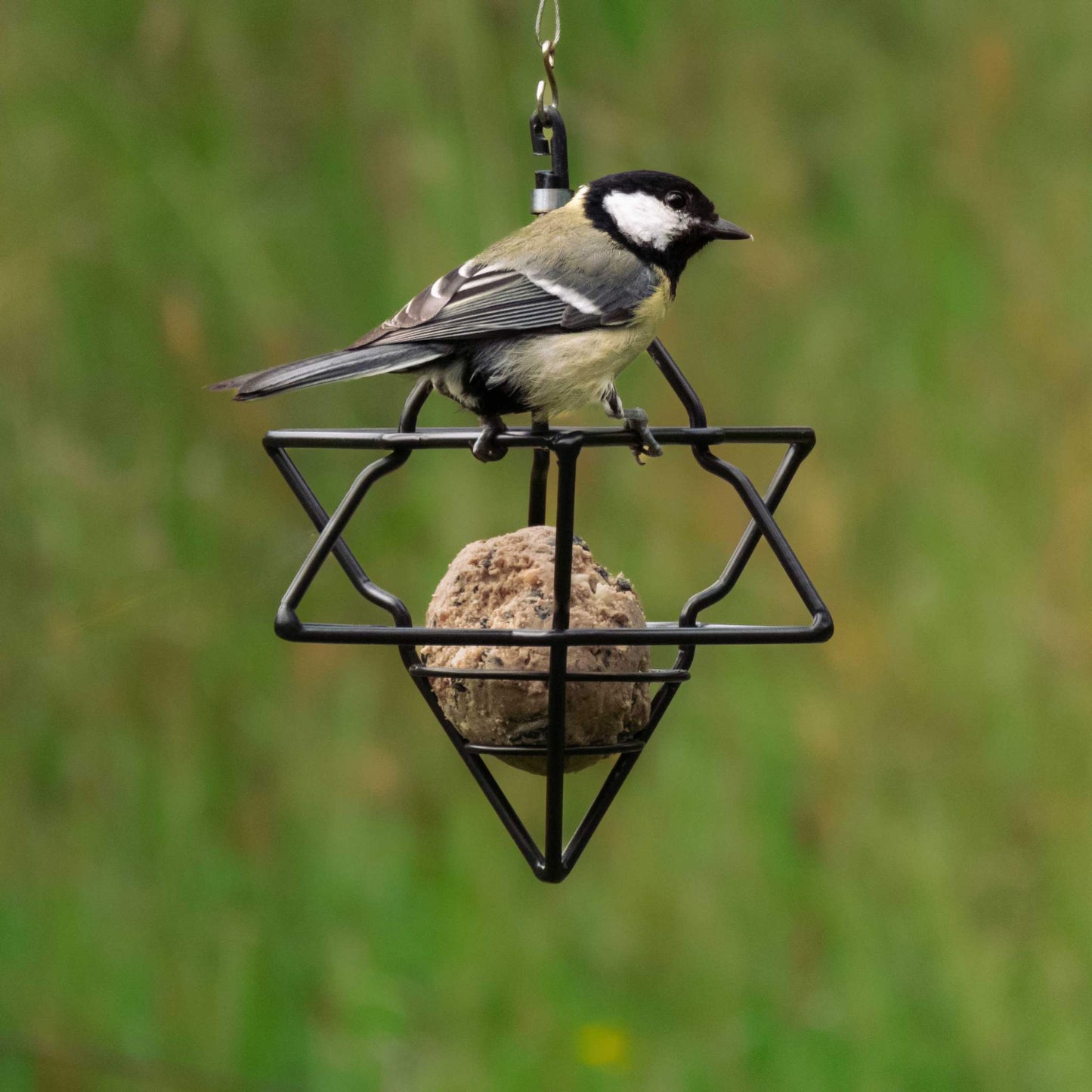 Wildlife Garden Tit Dumpling Holder / Bird Feeder Star Ø 14.7 cm