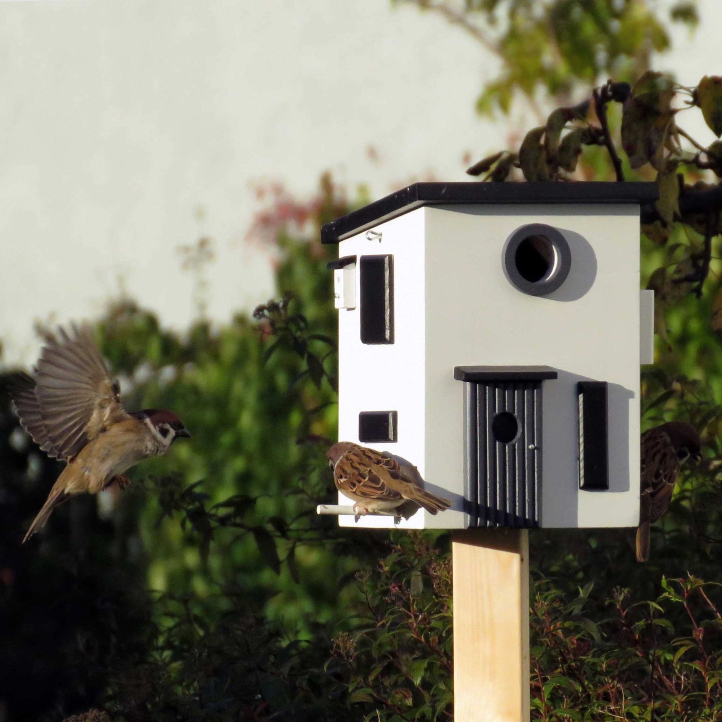 Wildlife Garden Multiholk Bauhaus plus Feeder / Nest Box 2 Liters