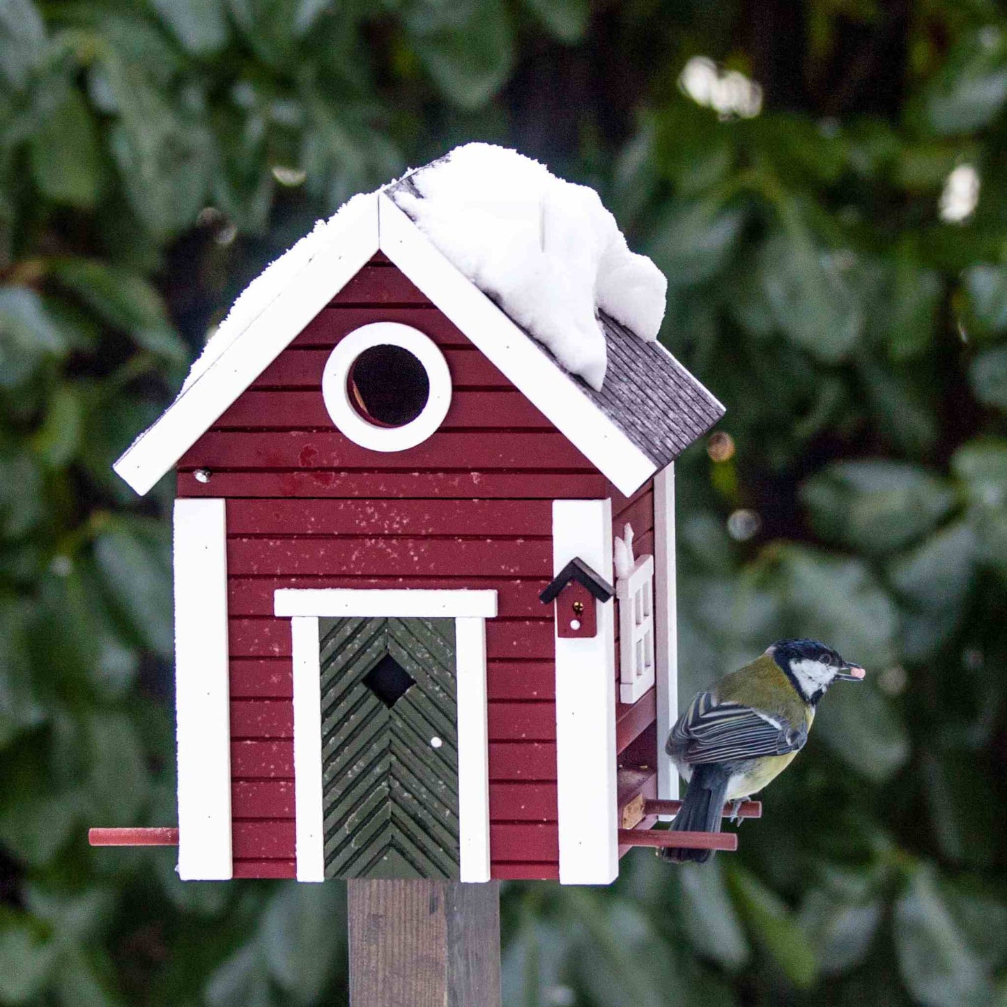 Wildlife Garden Multiholk Swedish Cottage plus Bird Feeder / Nest Box 2 Liters