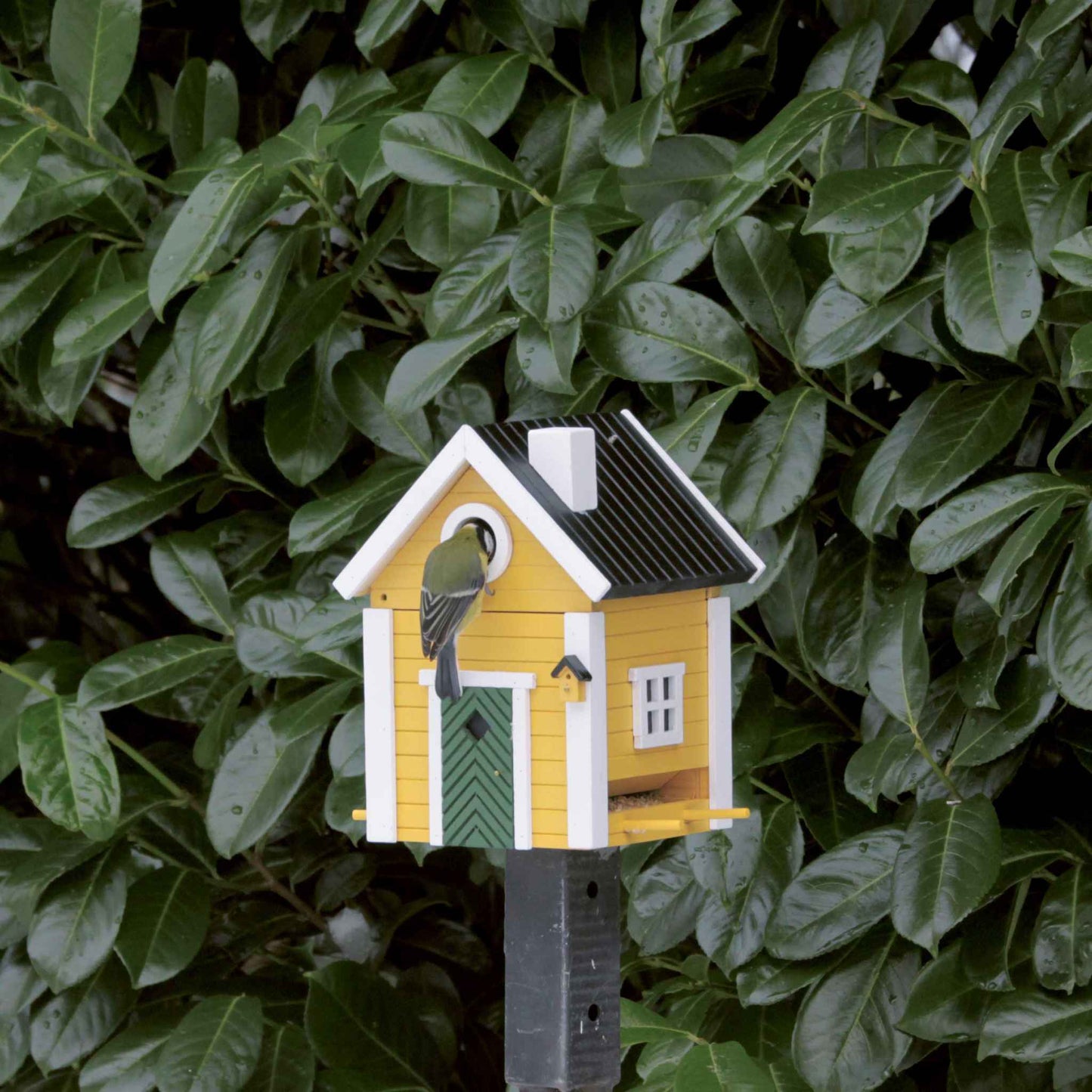 Wildlife Garden Multiholk Villa Plus Bird Feeder / Nest Box Yellow, White 2 Litres